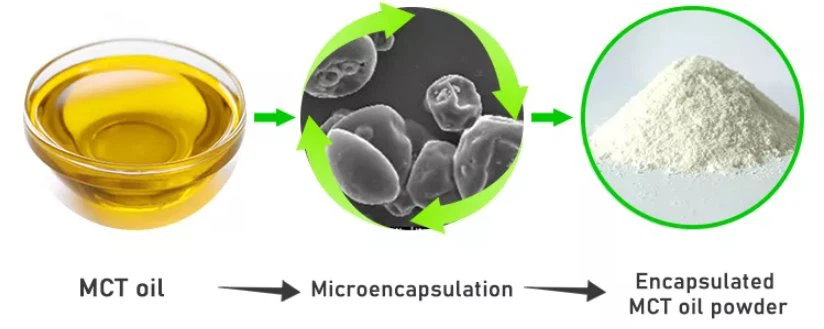 Mct oil powder price Mct oil powder price