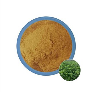 Fenugreek ekstrakta pulveris